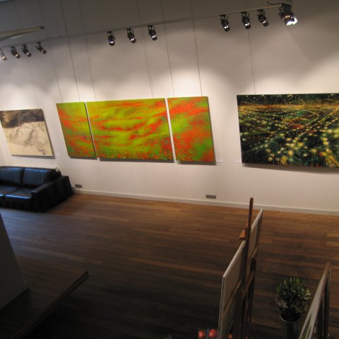 2009. Volga Gallery. Moscow, Russia